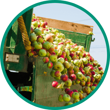 https://chaucerfoods.com/wp-content/uploads/2022/05/apples.png