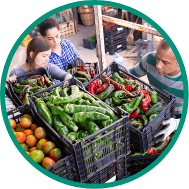 https://chaucerfoods.com/wp-content/uploads/2022/06/food-bins.png